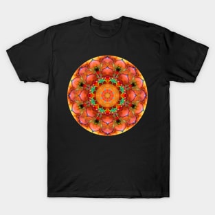 Mandala Magic - Daily Focus 2.19.2024 T-Shirt